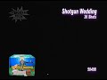 Shotgun Wedding - Fireworks