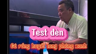 Thử Đèn Cá Rồng Huyết Long Phông Xanh