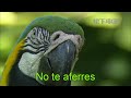 Eres