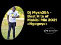 Dj Mysh254 - Best Hits of Makibi James Mix 2021 (Ngogoyo)