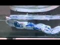 How to Hydrate Techniice Dry Ice Packs Sheets
