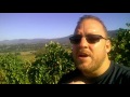 Dominate Local Search Live Long Drink Wine And Thrive Dominate Local Search Live Long Drink Wine And Thrive