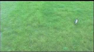 PV 市川由衣 雨 yui Ichikawa Ame PV 市川由衣 雨 yui Ichikawa Ame