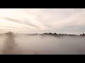 FREE STOCK VIDEO FOOTAGE - Foggy forest