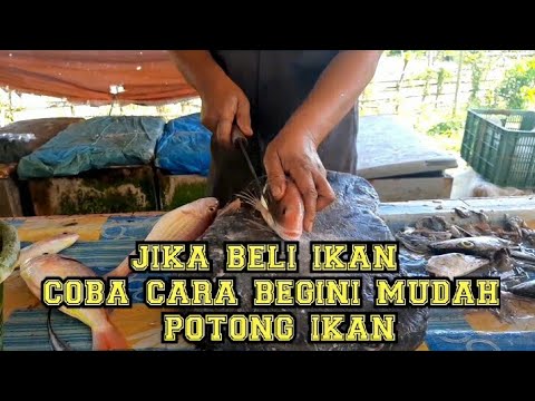 cara cepat potong ikan