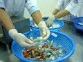 CUTTING EQUIPMENT FOR NOBASHI SHRIMP/ MÁY CẮT TÔM TỪNG CON
