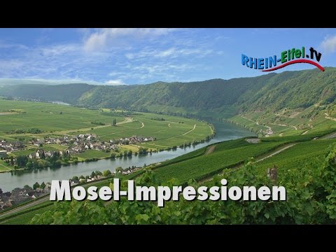 Youtube Vorschau Youtube Vorschau