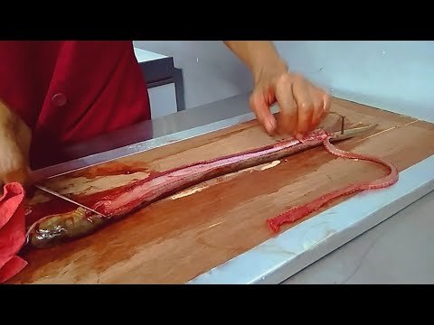 Cara Mematikan dan Memisahkan tulang belut
