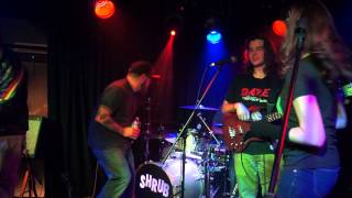 Watch Shrub I Did It For Us video