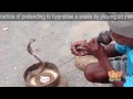 Snake Charmer