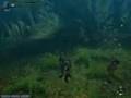 MHF センショク草・黒を効率よく集めよう！
