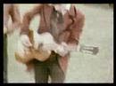 Everybody Wants Video