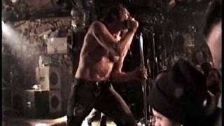 Watch Jesus Lizard Until It Stopped To Die video