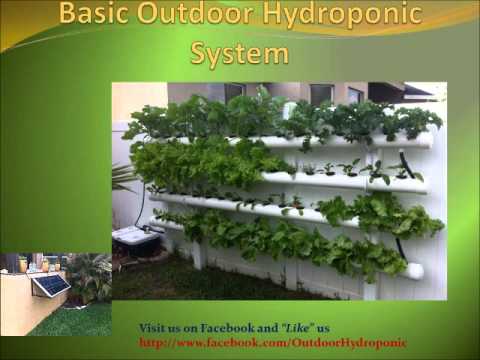 DIY Outdoor Hydroponic Grow for beginners - YouTube