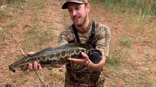 Catching A Snakehead | Chasing Trophy Fish | Quantico, Maryland | Northern Snakehead Fishing