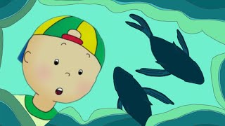 Caillou Has Fun At The Rock Pools Funny Animated Caillou Cartoons For Kids Caillou