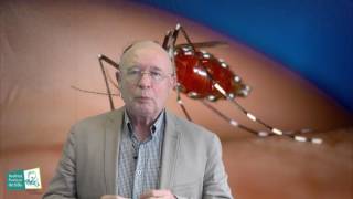 Zika Ce Quil Faut Savoir Sur Le Virus