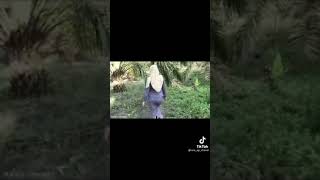 Gadis Baju Kurung