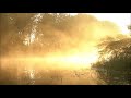 528Hz Tranquility Music For Self Healing & Mindfulness ➤ Love Yourself - Light Music For The Soul