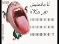 hossem vs soumia may7alabeche