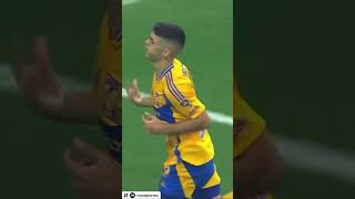 jHnUa55r_4k Video Image