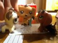 Lps:Ouija Board (Halloween Special) 2014