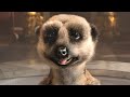 "Bubbly Bath" commercial for comparethemeerkat.com.au by Aleksandr Orlov. Official Australias.
