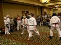 16-17 Team Kumite at 2010 United States Karate Alliance National Championships