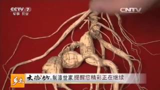 20151215 乡土 丰收的日子