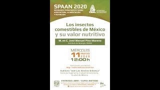 Los Insectos Comestibles De México Y Su Valor Nutritivo