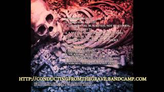 Watch Conducting From The Grave The Skies Are Blackened Not By Clouds But Insects video