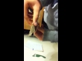 Origami Odd Duck (page 1). YouTube Bird Video Tutorials