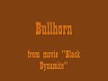 Bullhorn