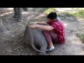 Distraction: Elephant loves to cuddle