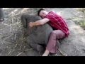 Distraction: Elephant loves to cuddle