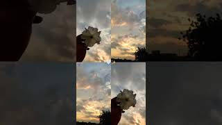 Tehjud Or Fajar Ki Namaz Zainab Aliya Video