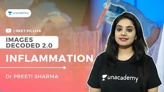 Images Decoded 2.0 Inflammation Dr Preeti Sharma