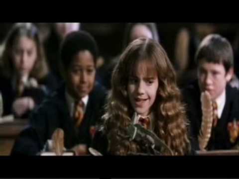 (Xtreme)Coldmirror Zitate: Hermine Granger