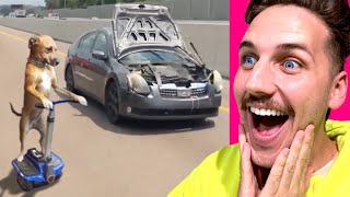 The Craziest Car Videos on the Internet!