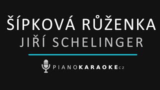 Jiří Schelinger - Šípková Růženka Piano Karaoke Instrumental