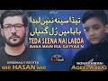Noha Bibi Sakina 2020 - Tera Seena Nahi Labda - Mir Hasan Mir Noha 2020 - Aqeel Abbas 13 Safar Noha