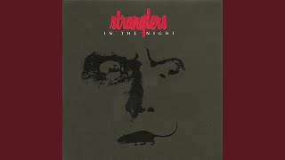Watch Stranglers Gain Entry To Your Soul video