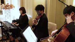Dear Jane - 2084 | Piano Trio (Violin, cello + keyboard) | Felice Studio Wedding Live Band
