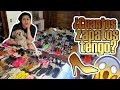 CUANTOS ZAPATOS TENGO