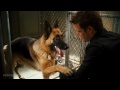 Cats & Dogs: The Revenge of Kitty Galore (2010) Free Online Movie