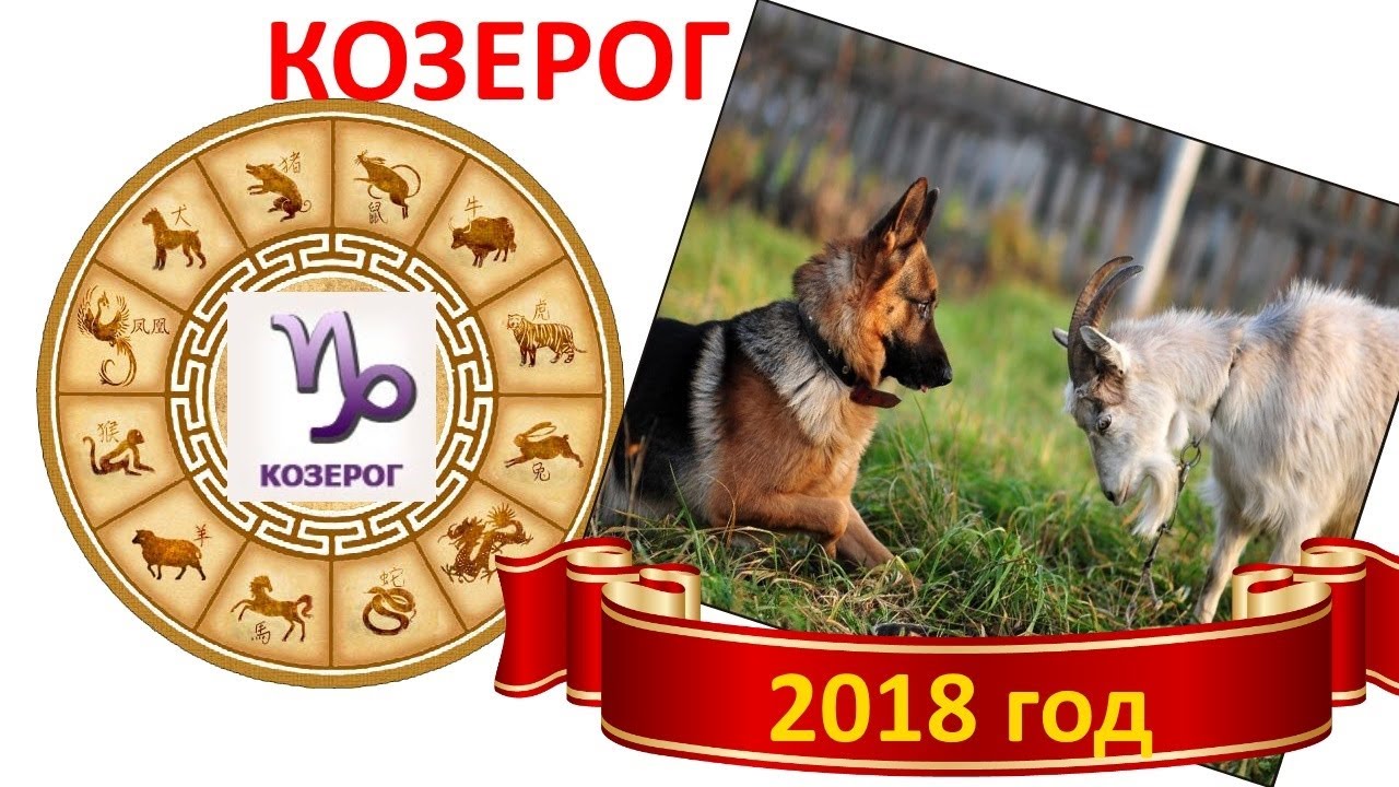 Прогноз для козерога на 2018 год от анжелы перл Прогноз для козерога на 2018 год от анжелы перл