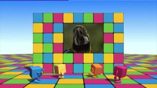 The Cubeez Official Episode 3 Colours