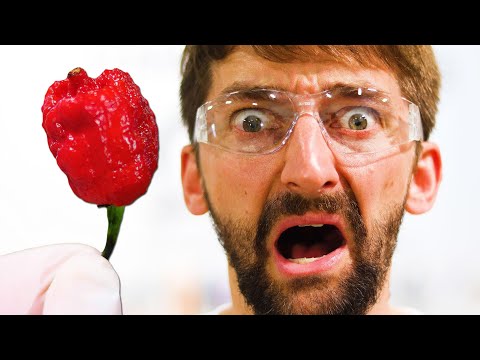 CAROLINA REAPER GAME OF SKATE | STUPID SKATE