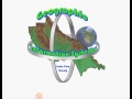 3 GISWEB USER INTERFACE