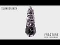 view Fracture